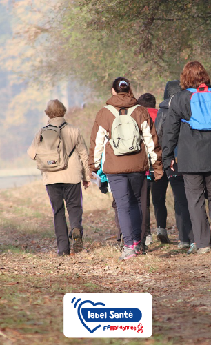 Groupe de personnes qui pratiquent la randonnée santé