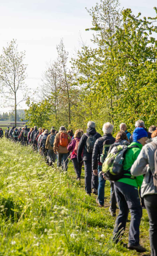 Groupe de personnes qui pratiquent la randonnée pédestre