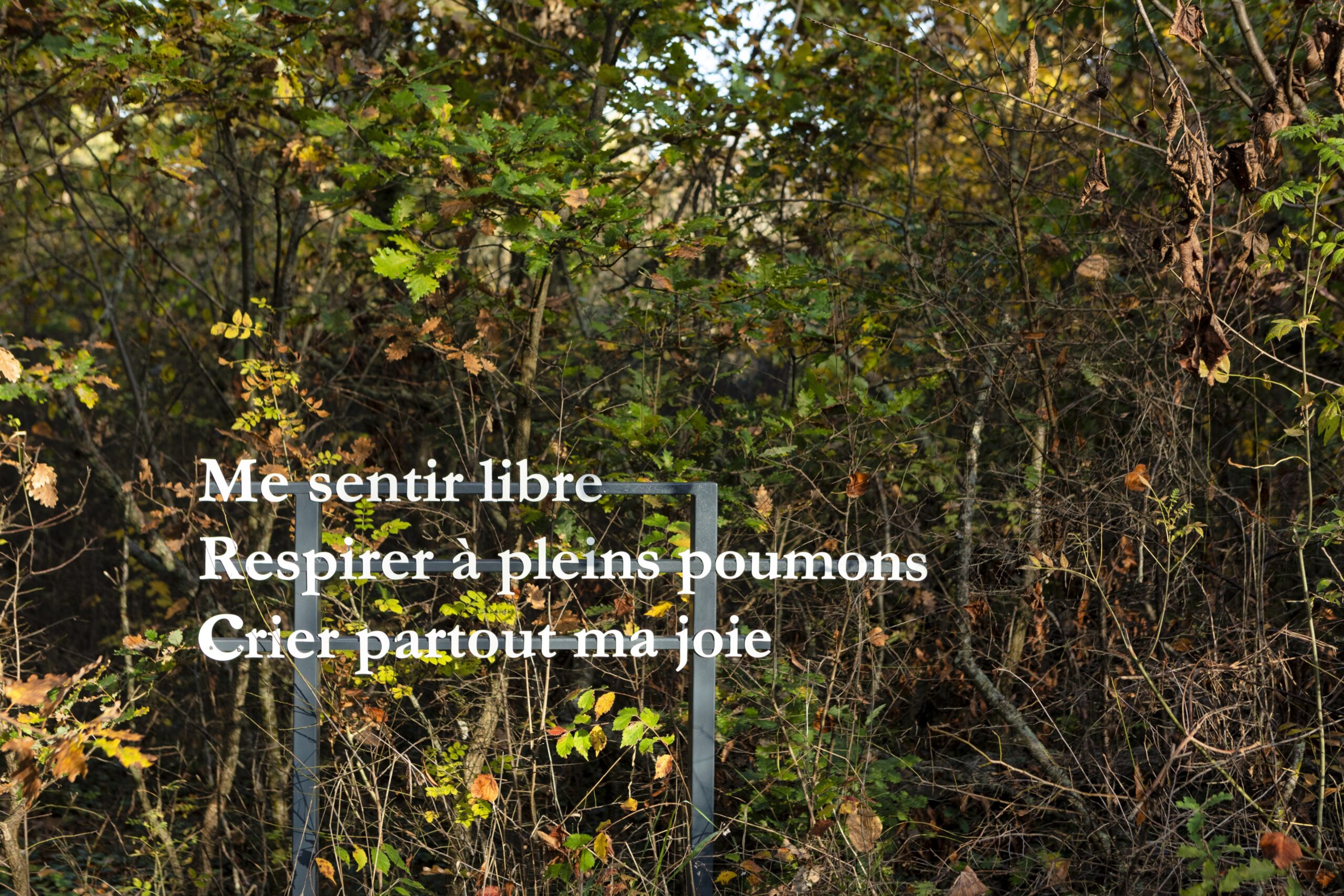 citation "me sentir libre, respirer à pleins poumons, créer partout ma joie"
