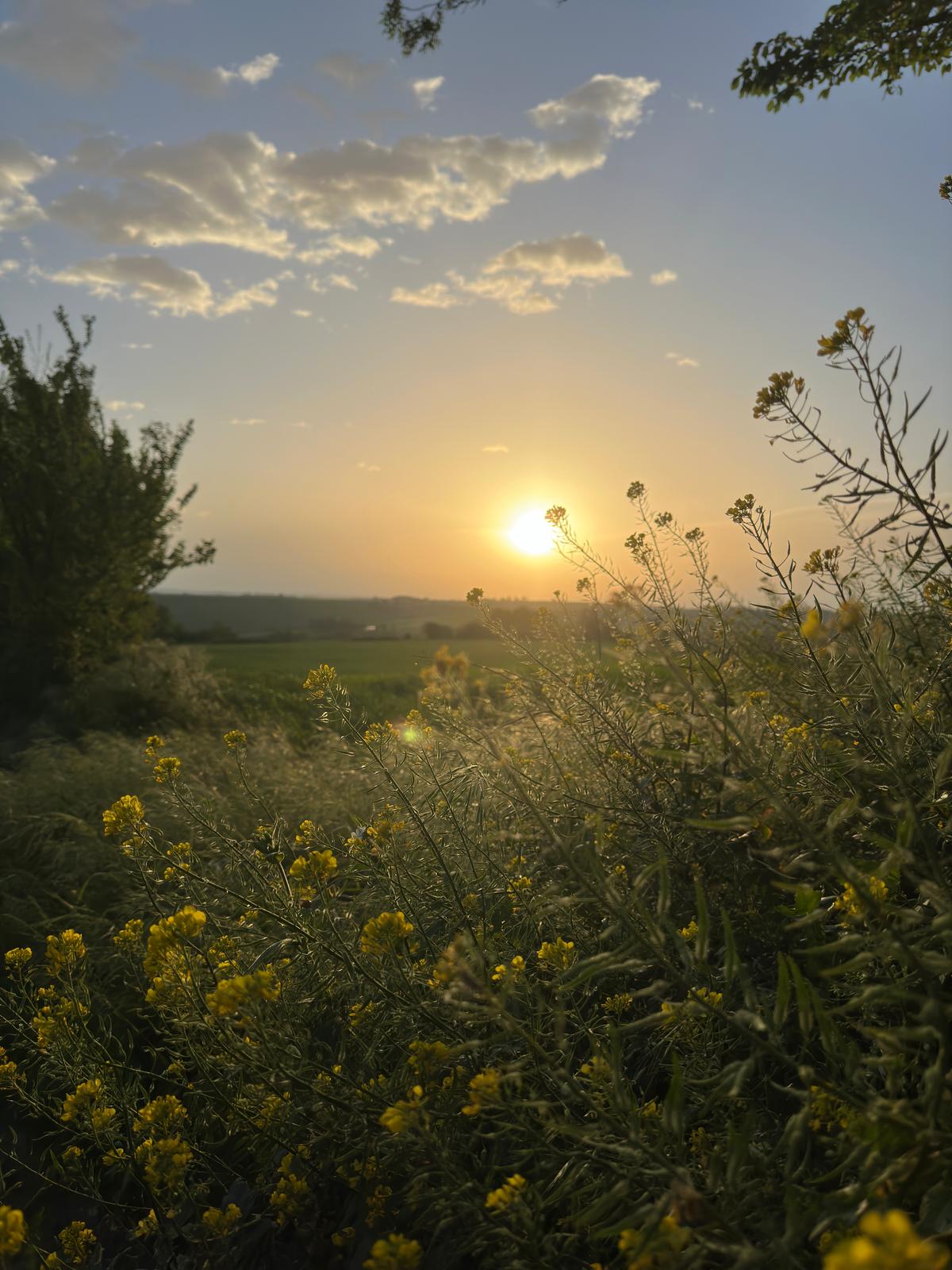 coucher du soleil