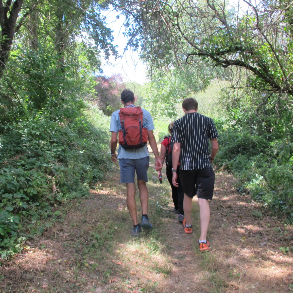Randonnée dans la Haute-Garonne. Trois personnes marchent dans un sentier herbeux.