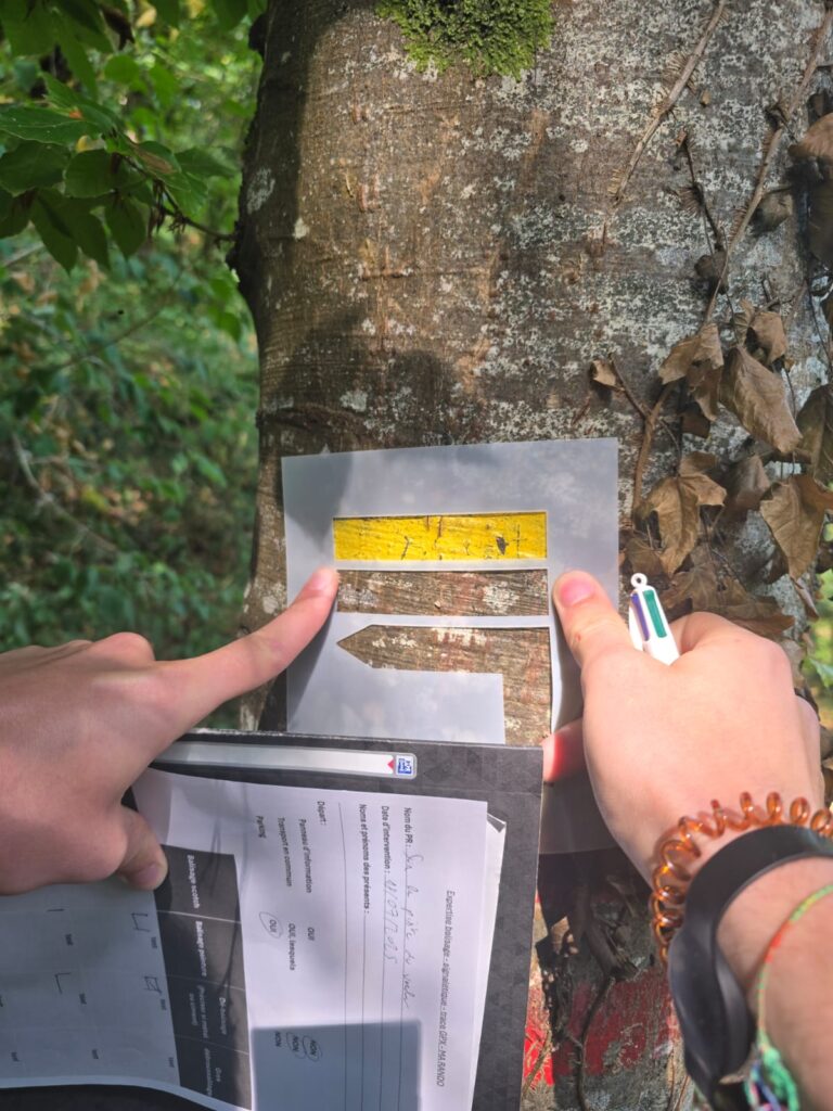 Vérification de la norme concernant la taille du balisage.