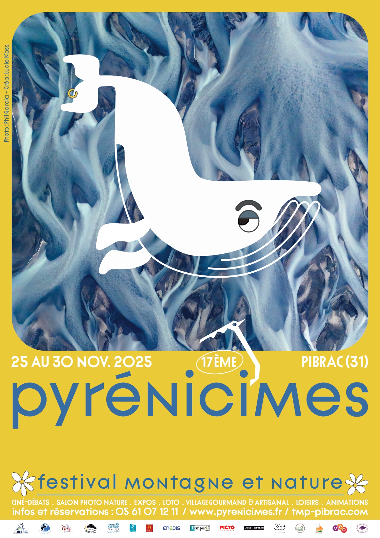 Festival Pyrénicimes